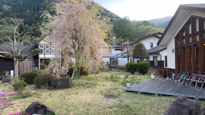 Kosuge — photo 14