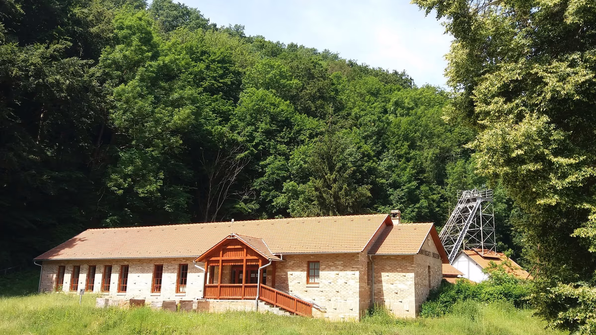 Ajkai Bányászati Múzeum Őslény