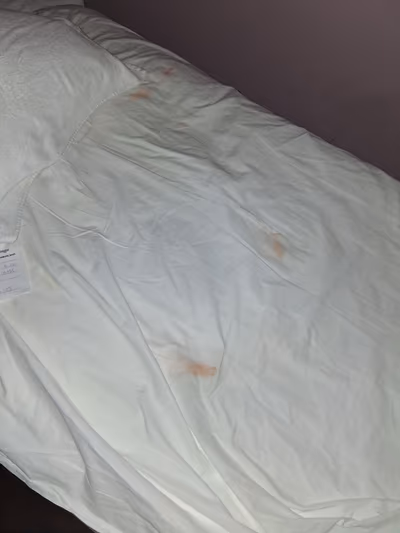 Harmony Massage & Spa — photo 12
