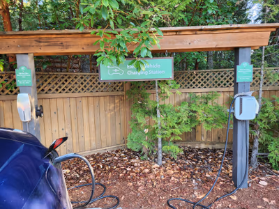 Tigh — photo 14