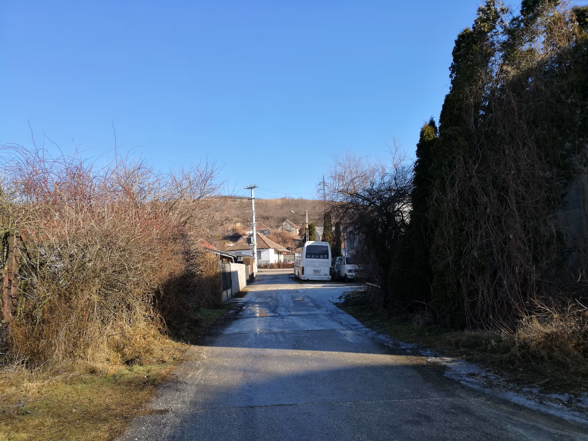 Sárisáp