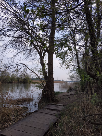 Szigetszentmiklós floating moors — photo 20