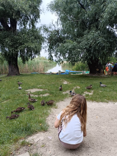 Szigetszentmiklós floating moors — photo 35