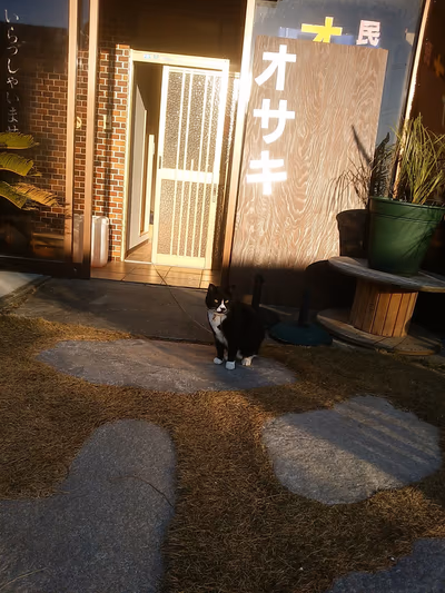宮嶋舘 — photo 11