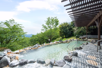 Hinatano Yado Natural Onsen — photo 19