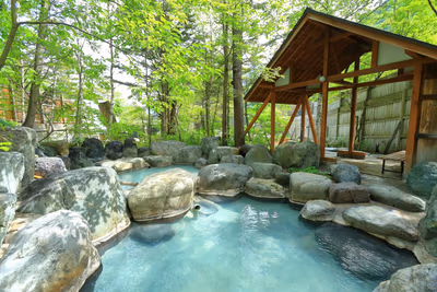 Hirayu no Mori (hotel & hot spring) — photo 08