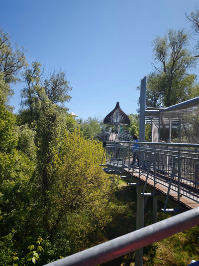 Lombkorona Sétány — photo 10