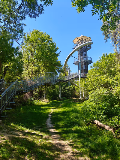 Lombkorona Sétány — photo 13