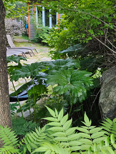 Nordique spa Stoneham — photo 14