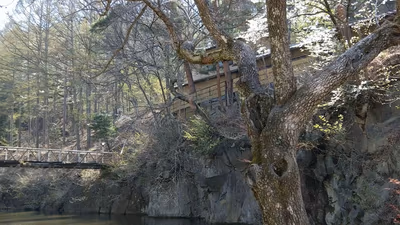 Hishino Onsen Tokiwakan — photo 04