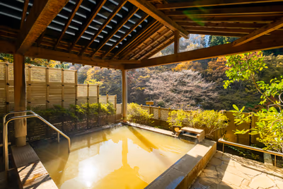 Ikaho Onsen Fukuichi — photo 05