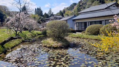 Tomonoyu Hotel — photo 04
