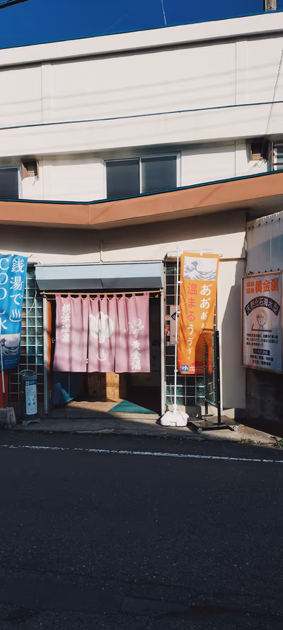 Yokohama Onsen Koganeyu — photo 22