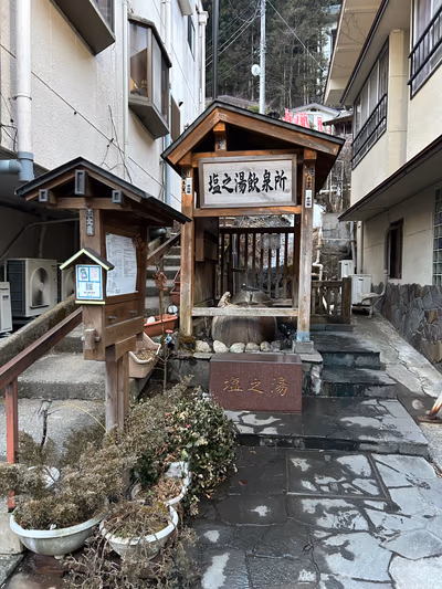 Shio — photo 16