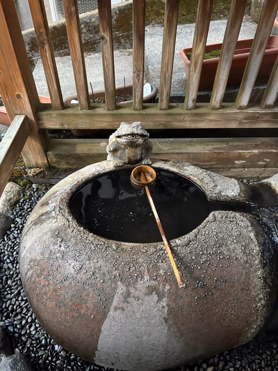 Shio — photo 17