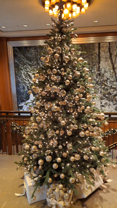 Four Seasons Resort Whistler — photo 33