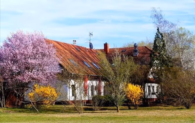 Szabadszállás — photo 05