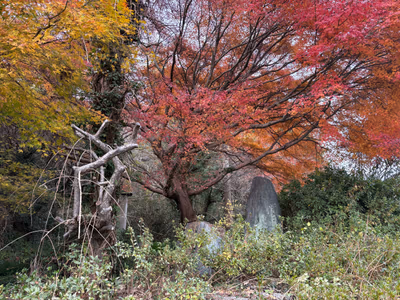 道前渓温泉 — photo 05