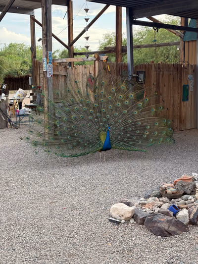El Dorado Hot Springs — photo 17