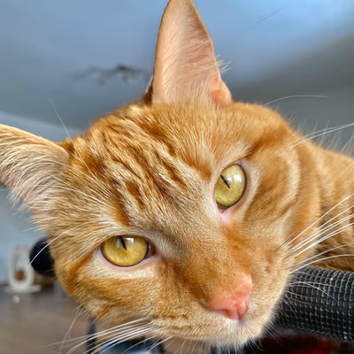 Balnea Spa — photo 05