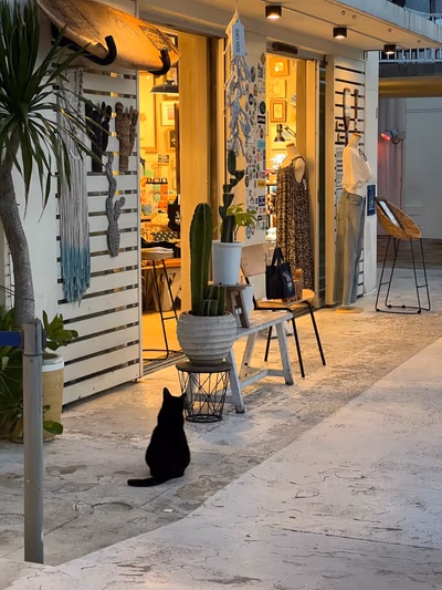 Umikaji Terrace Senagajima — photo 12