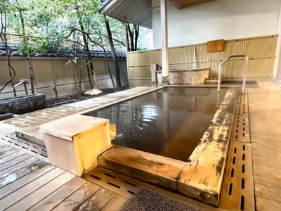 Hotel Saginoyu — photo 05