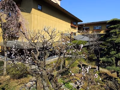 Hotel Saginoyu — photo 13