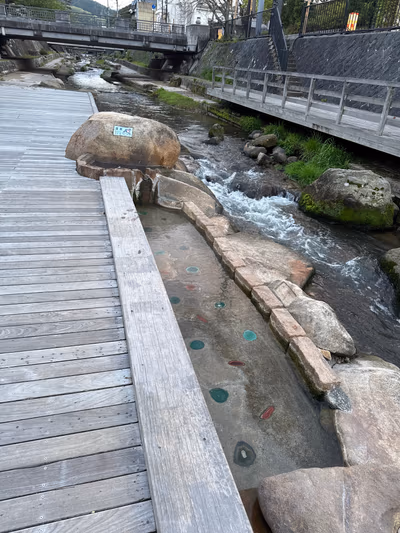 Yuyu Onsen (Public Bath) — photo 10