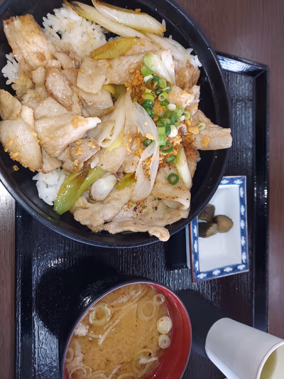 Yamanakako Onsen Benifuji no Yu hot spring — photo 14