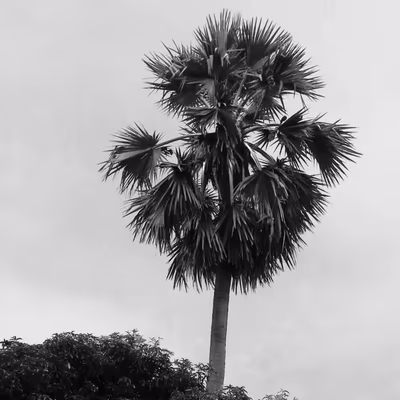 Three Tides Wellness — photo 07