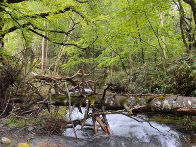 Kawamata Hot Spring — photo 12