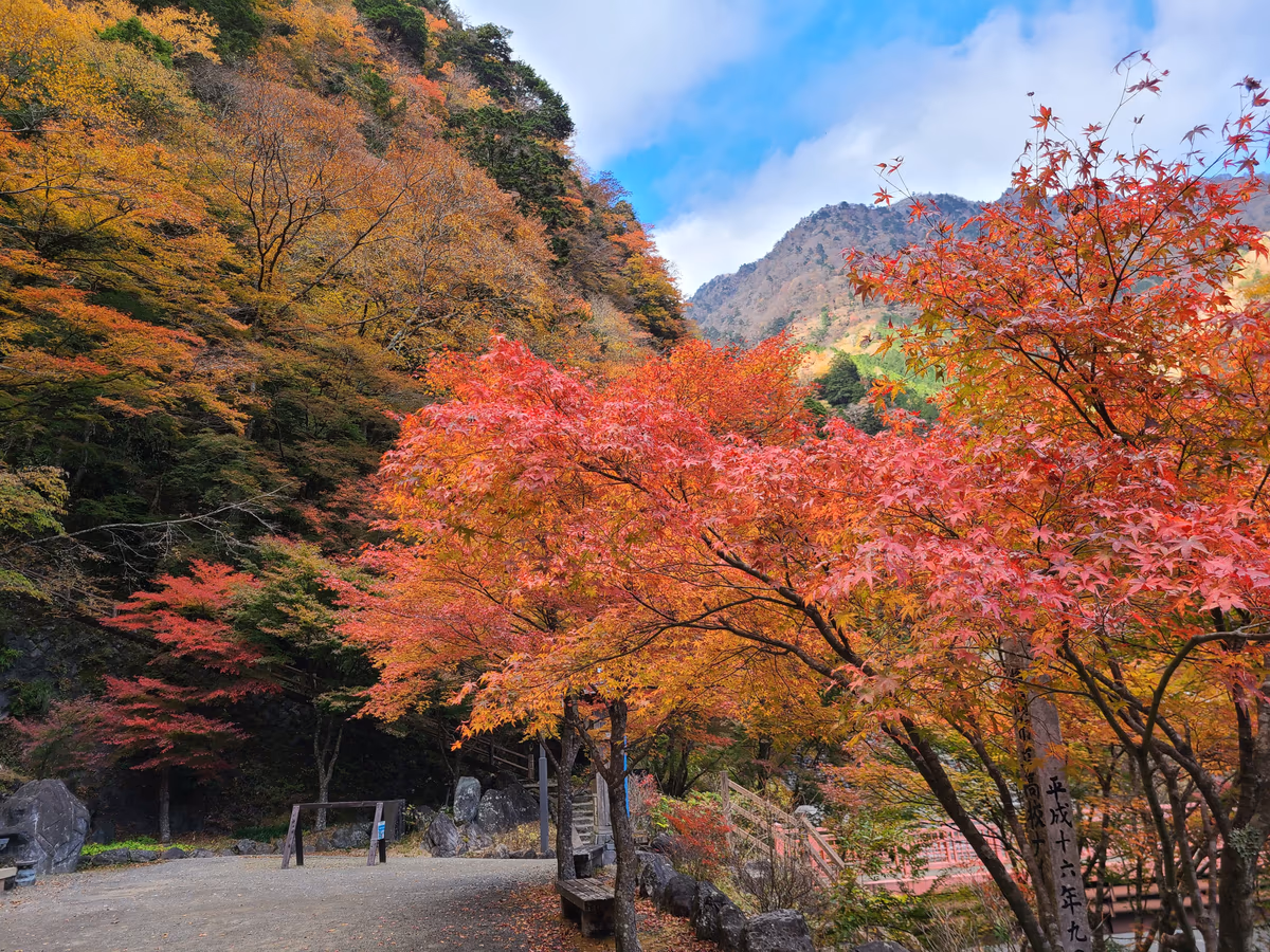 Umegashima Hot Spring