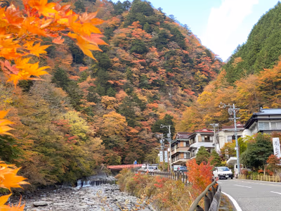 Umegashima Hot Spring — photo 11
