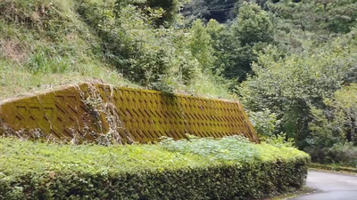 Takata Green Land (Kumotori Onsen) — photo 15
