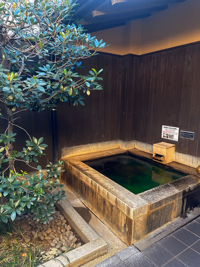 Nobeha No Yu Tsuruhashi — photo 20