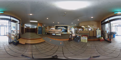 Alps Hot Spring Museum — photo 11