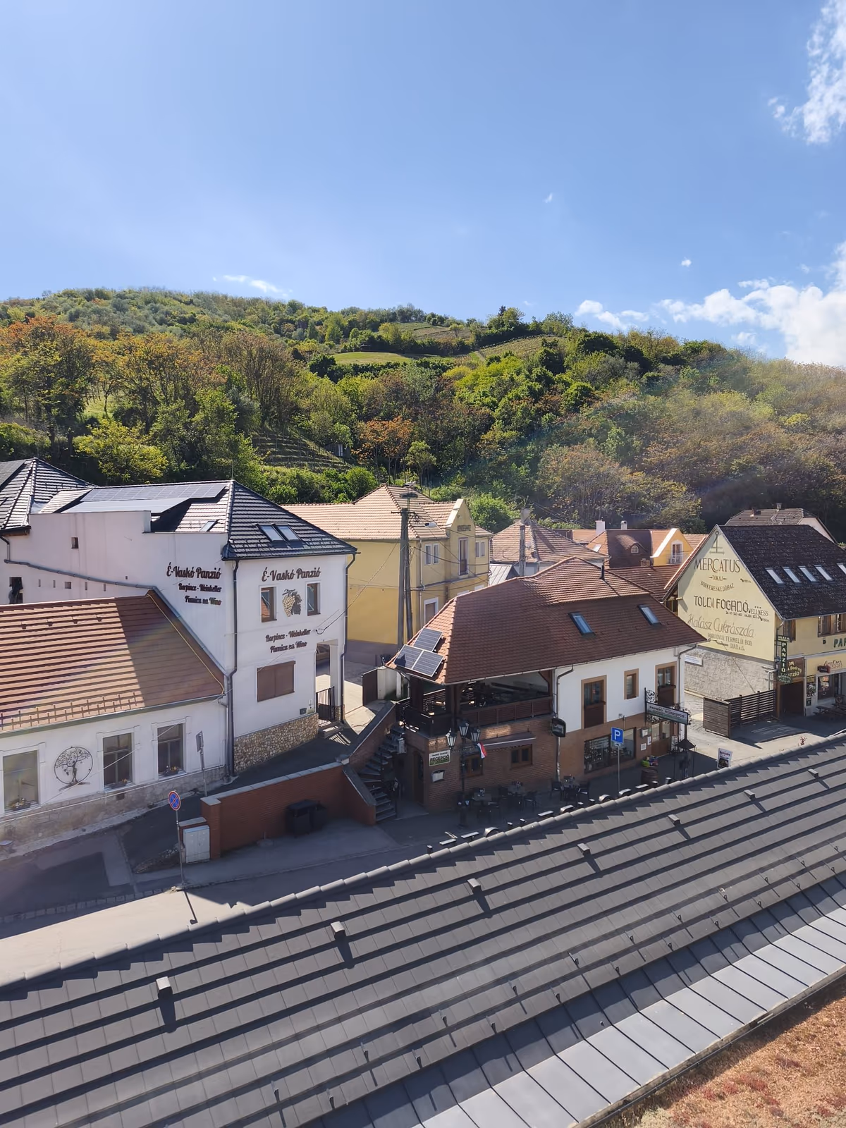 Mercure Tokaj Center