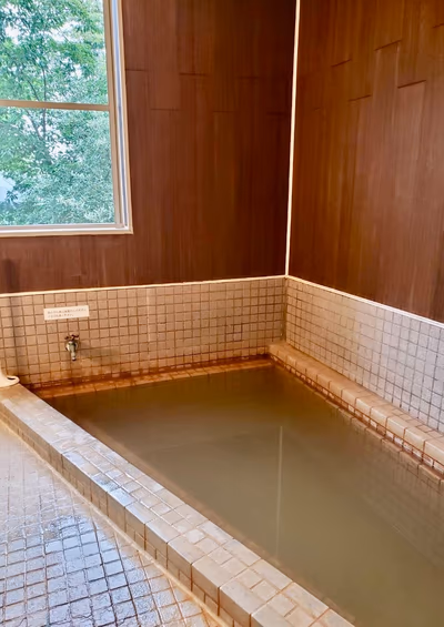 Hot Springs Lodge Alpina — photo 15