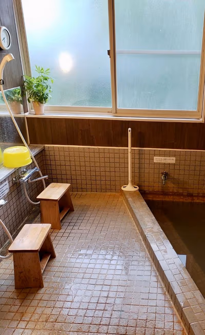 Hot Springs Lodge Alpina — photo 16