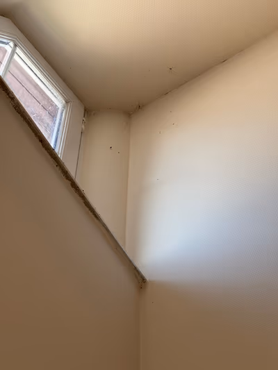 Gyula Wellness Panzió — photo 16
