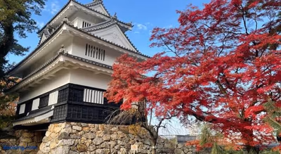 Natsume Bekkan — photo 19