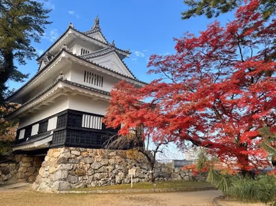 Natsume Bekkan — photo 20