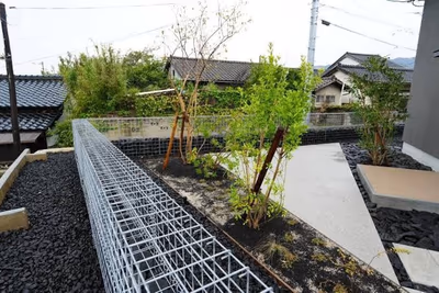 Keiun — photo 29