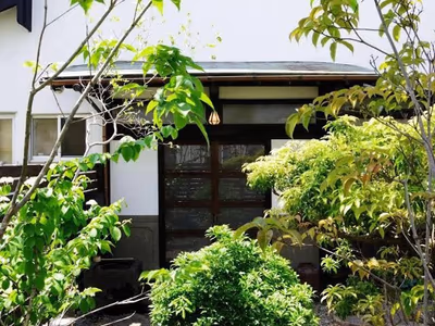 Suiko — photo 13