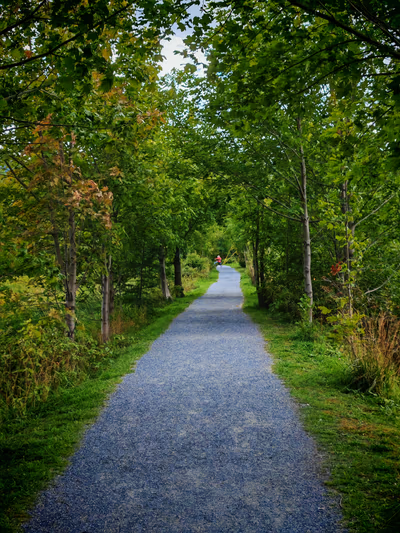 Corner Brook Stream Trail — photo 15