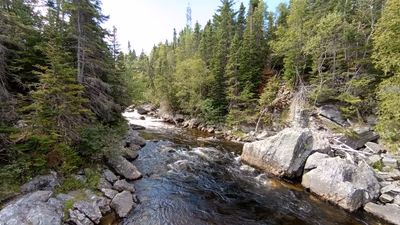 Corner Brook Stream Trail — photo 16
