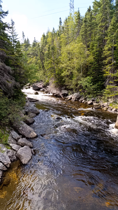 Corner Brook Stream Trail — photo 17