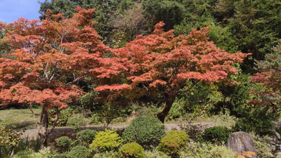 右のメルセデスは泊まり客かな? — photo 05