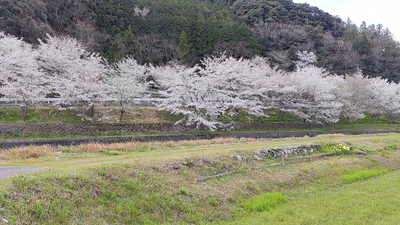Mito Onsen Hot Spring — photo 02