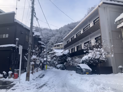 Kamasaki Onsen — photo 10